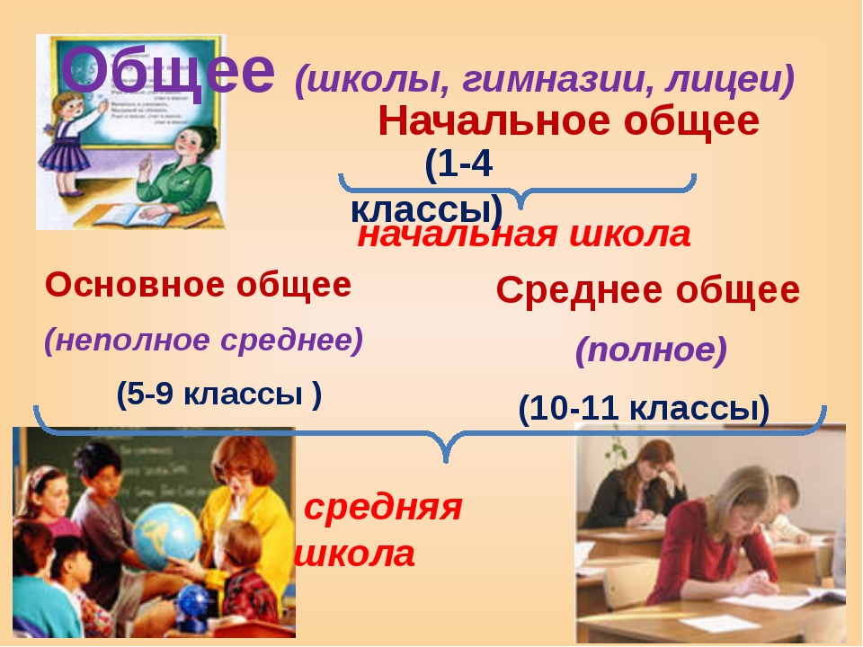 structure de l'éducation dans la Fédération de Russie