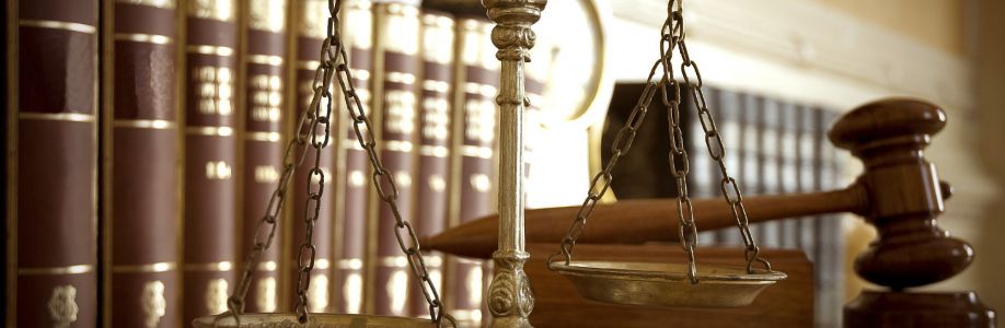 spécificités du plaidoyer