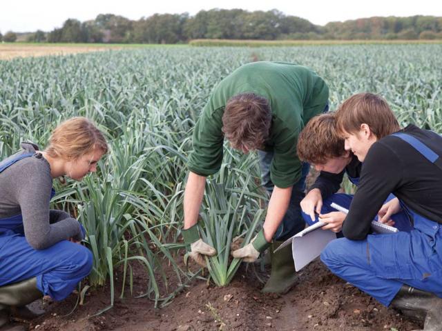 comment encourager les jeunes professionnels