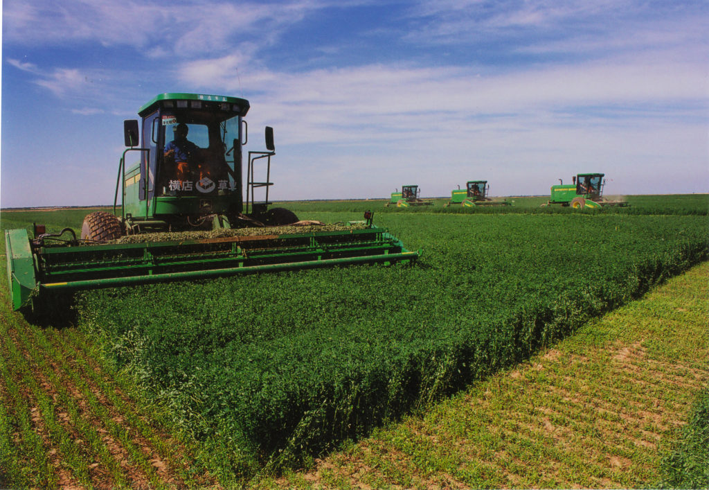 Charte du TOS de la commune