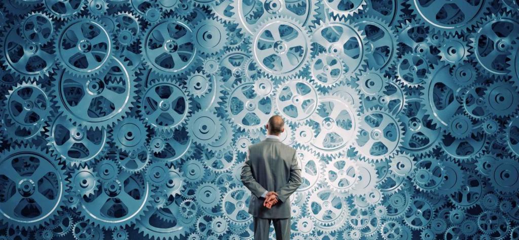 organes directeurs obligatoires en ooo