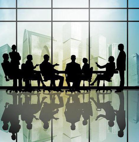 décision du fondateur llc échantillon