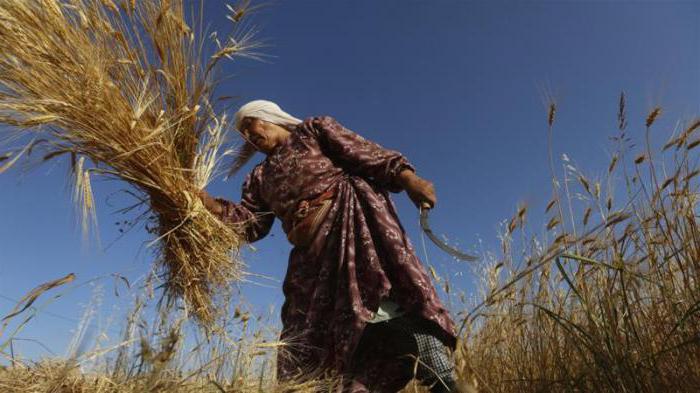 développement des secteurs de l'économie