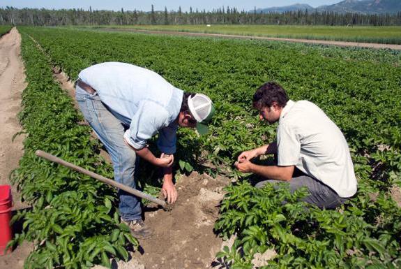 secteurs de l'économie russe