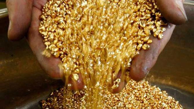 contribution à l'or