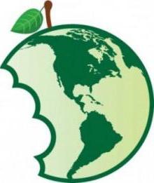 calculation of the amount of environmental tax