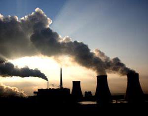 where to pay the environmental fee