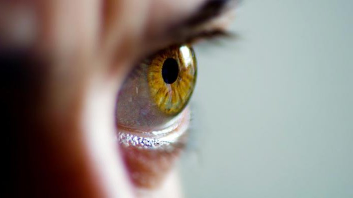 Qu'est-ce qu'une donnée biométrique humaine?