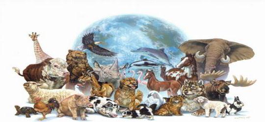 Loi sur la protection des droits des animaux en Russie