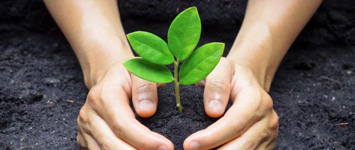 droit à un environnement favorable