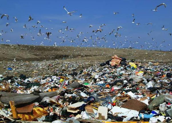 protection des droits dans un environnement favorable