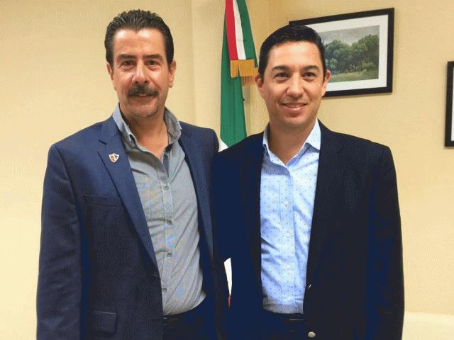 Municipal Organization