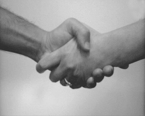 Municipal Organization