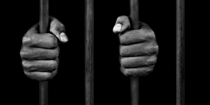 relation criminelle-exécutive