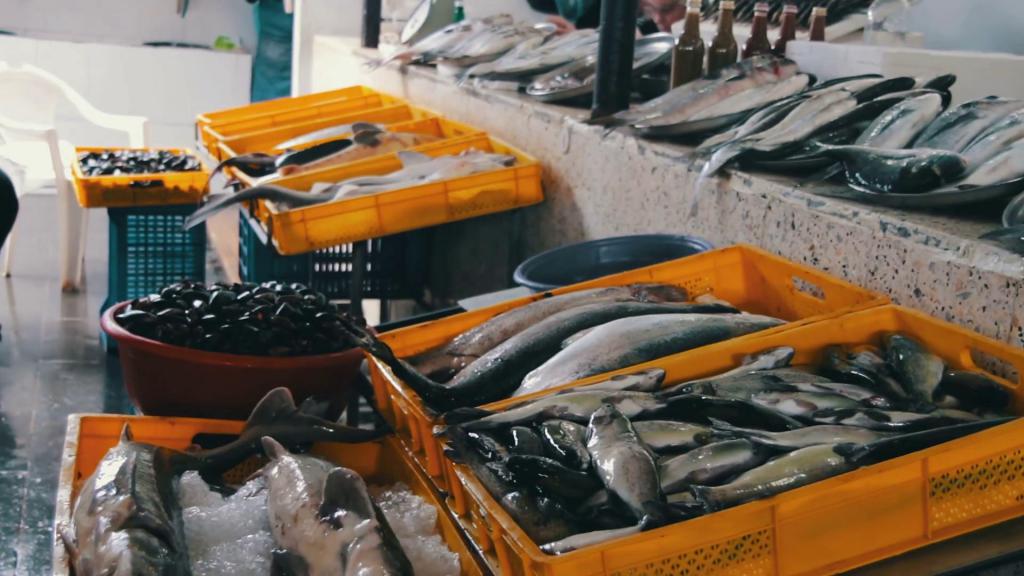 Poisson sur le comptoir