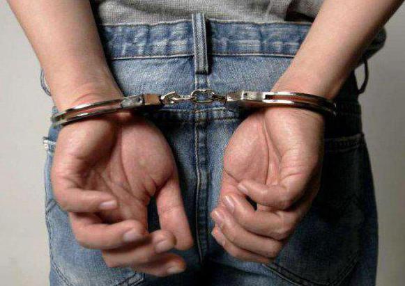 base de données sur l'adoption d'enfants