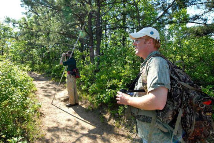 assistant environnement spb