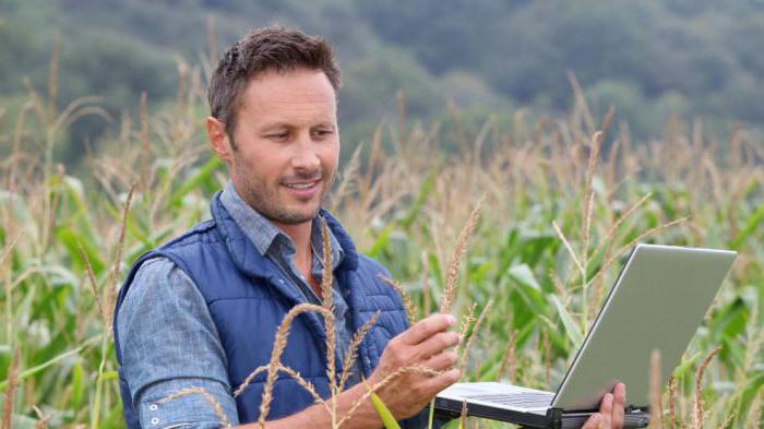 Assistant ingénieur en environnement