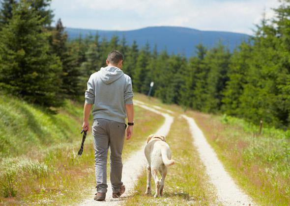 règles de promenade à Moscou