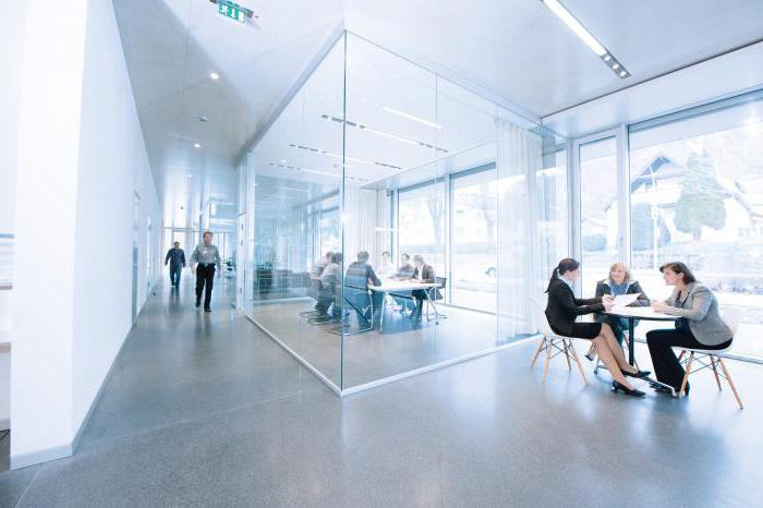 caractéristiques du statut juridique d'une société par actions