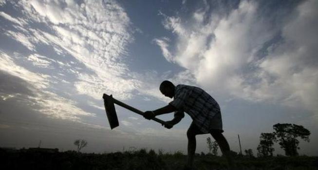 pour les infractions administratives aux terres, une amende administrative est prévue à titre de sanction