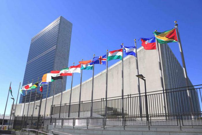 accord international