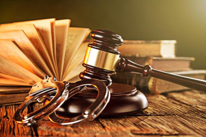 structure d'un article d'acte juridique normatif