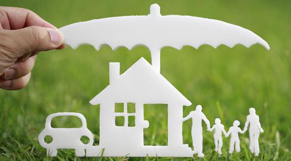 Avis sur une compagnie d'assurance geopolis