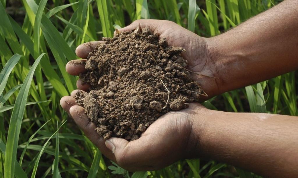 dommages environnementaux aujourd'hui