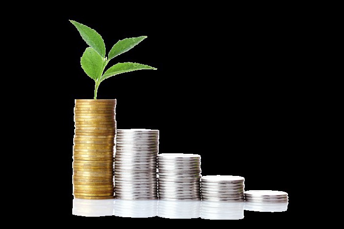 fonctions de l'argent, types d'argent et leurs caractéristiques