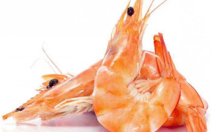 élevage de crevettes