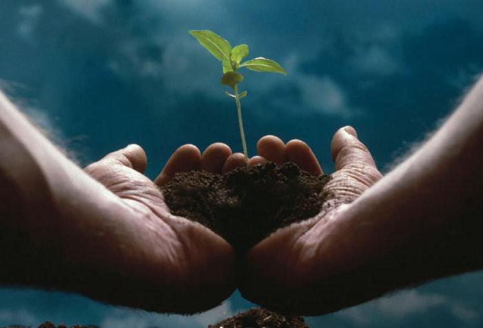 entrepreneuriat social: activités