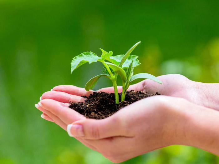 retraites d'entreprise en Russie