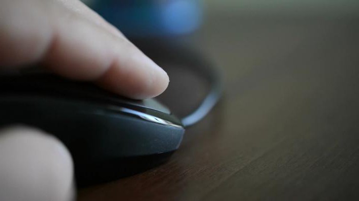 devoirs d'un entrepreneur individuel (contribuable)