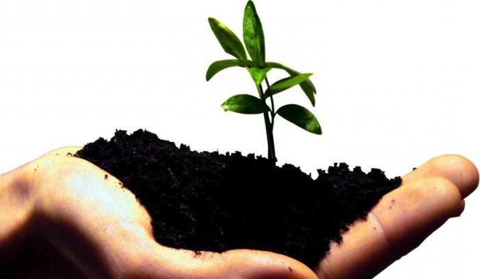 fonds de développement d'investissements à risque