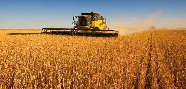 KFH est une personne physique ou morale