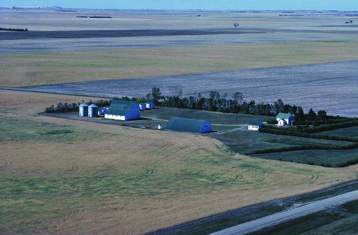 Ferme paysanne ou IP, ce qui est meilleur tableau des différences