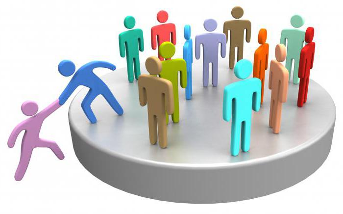 capital d'organisation