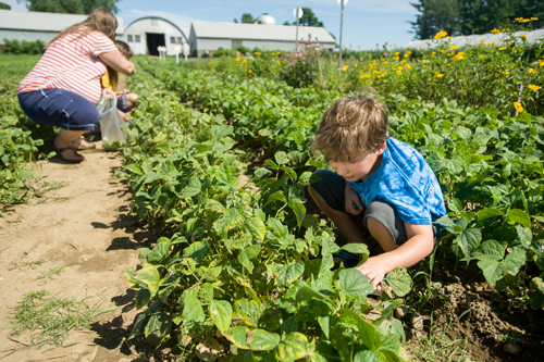 Membres de la famille