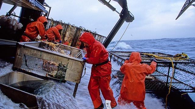 assurance sociale contre les accidents du travail