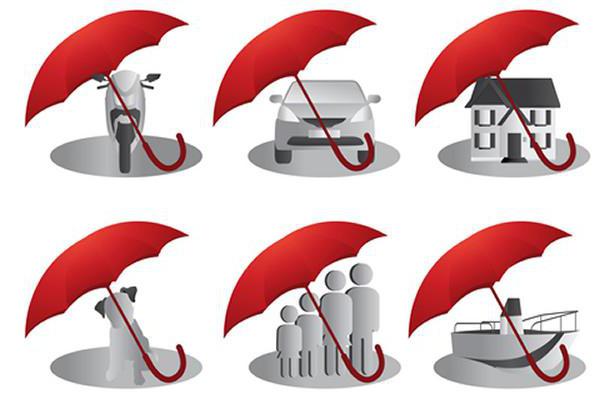 avis des courtiers d'assurance