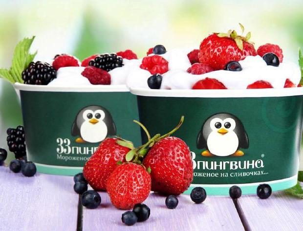 franchise 33 pingouin Price