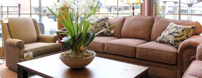 franchise de magasin de meubles