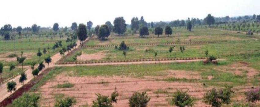 Responsibility for unauthorized seizure of land