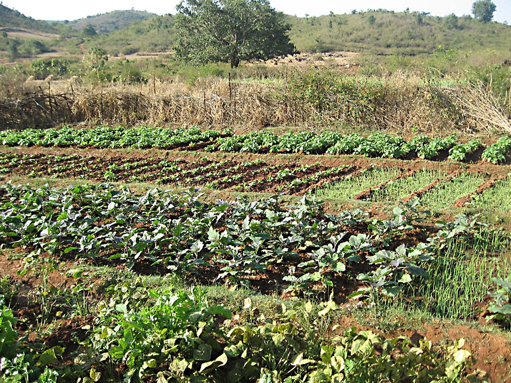 Refus d'enregistrement de KFK