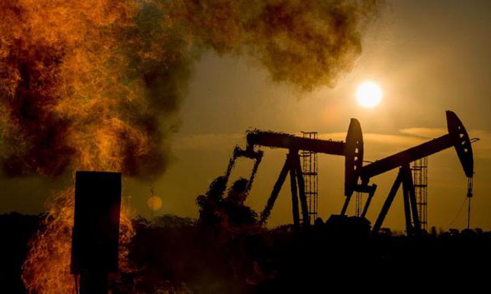 remplir la déclaration IEE