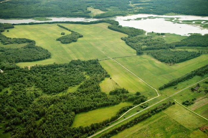 vendre le terrain rapidement