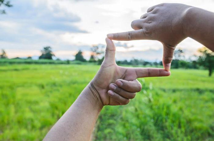 besoin de vendre la parcelle