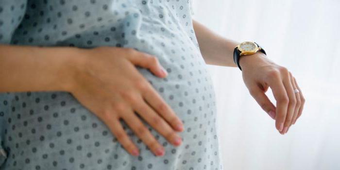 allocation mensuelle de garde d'enfants