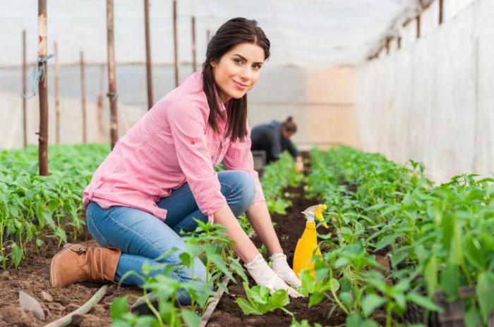  droits des organisations commerciales